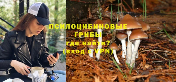 спиды Алзамай